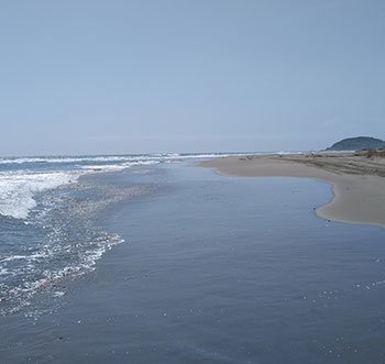 playa troncones