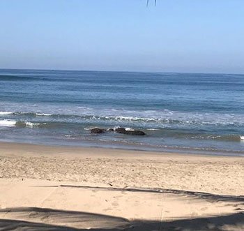 playa troncones